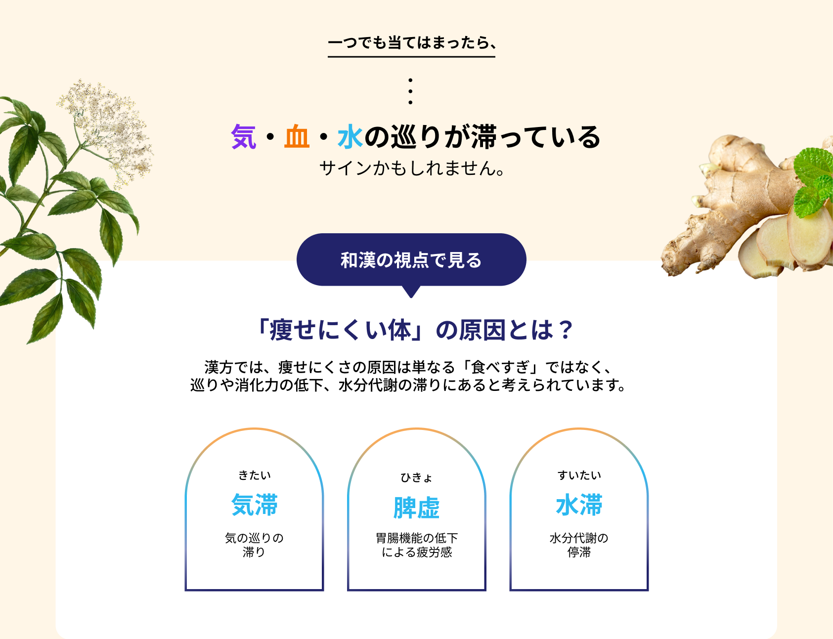 気・血・水の巡りが滞っているサインかもしれません。