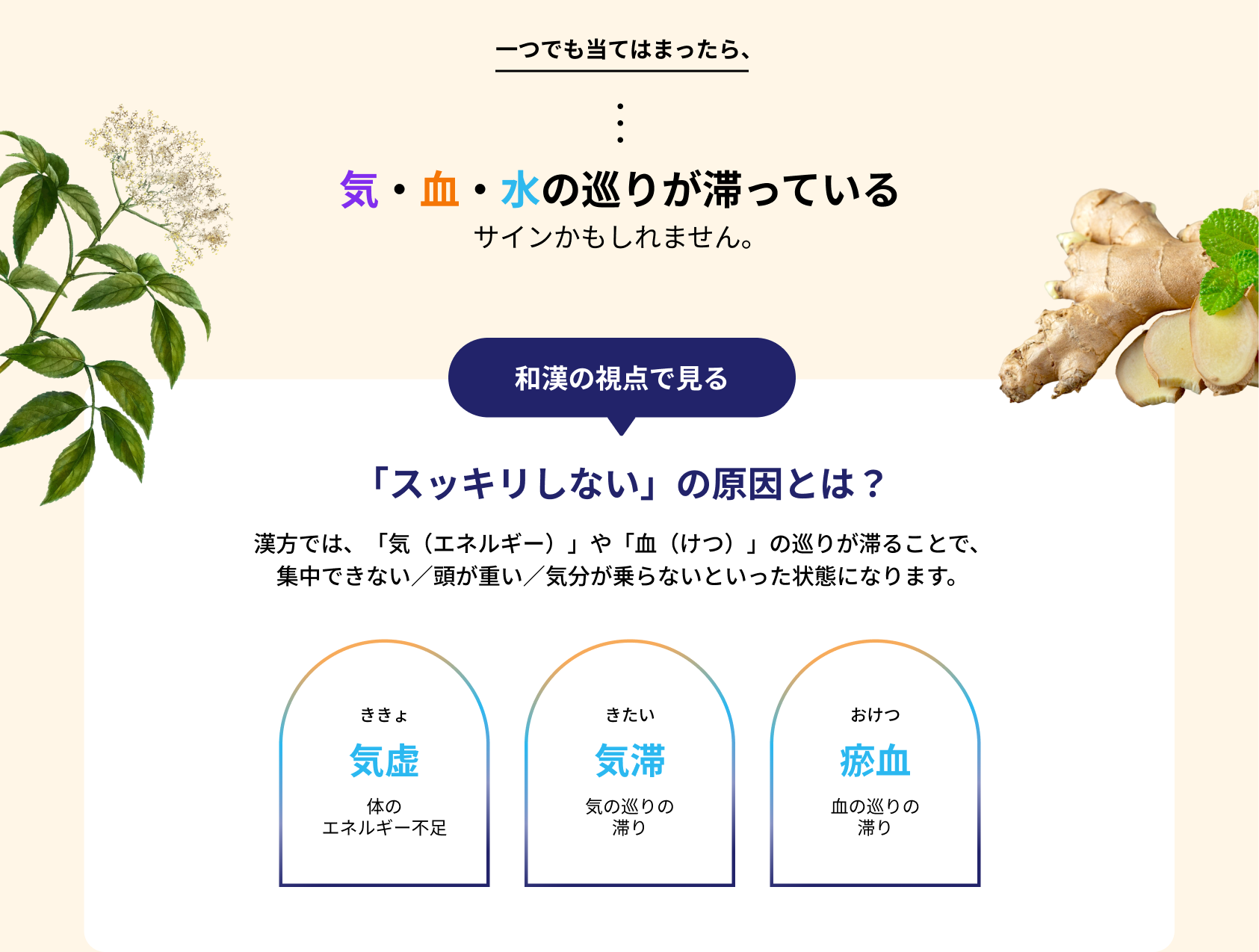 気・血・水の巡りが滞っているサインかもしれません。